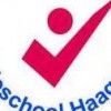 Logo Judoschool Haagsma